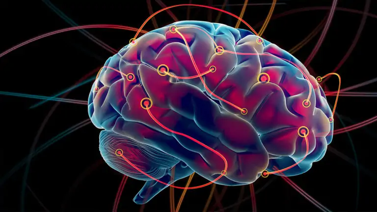 Epilepsi İçin Hangi Oranda Engelli Raporu Verilir?