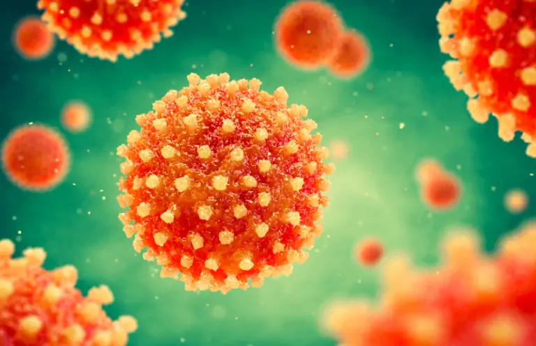 Hepatit İçin Hangi Oranda Engelli Raporu Verilir?