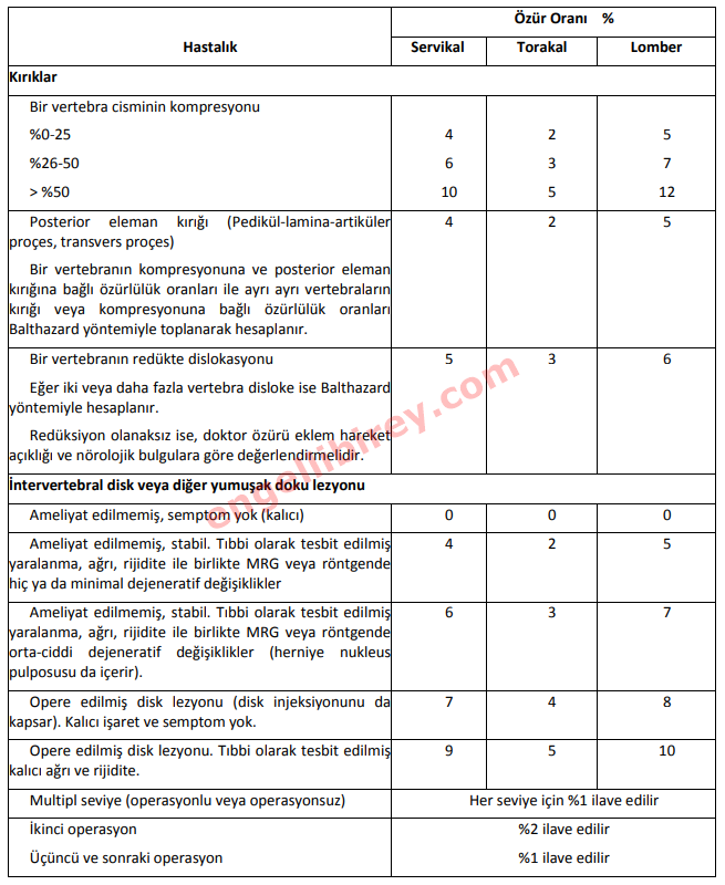 Omurga hastalıkları için engelli raporu verilme oranı