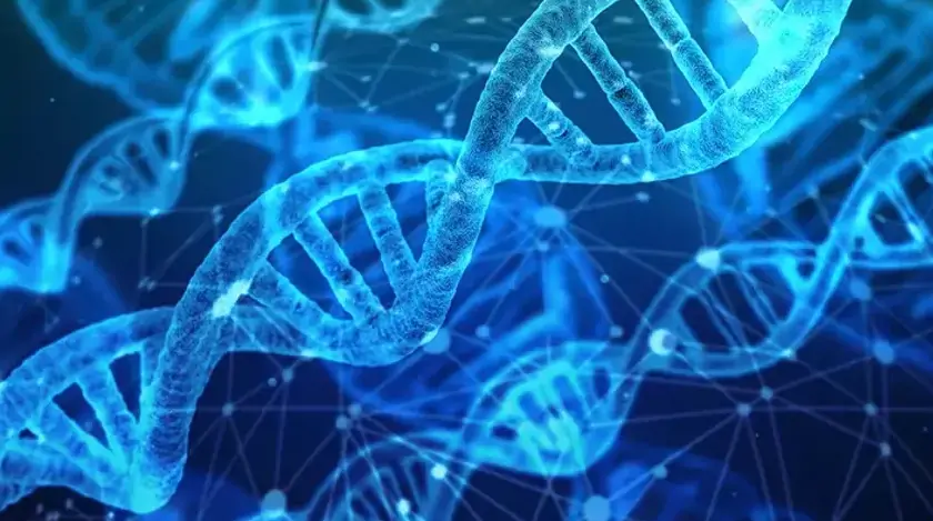 Genetik Hastalıklar Nelerdir?