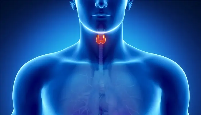 Tiroid Kanseri İçin Hangi Oranda Engelli Raporu Verilir?