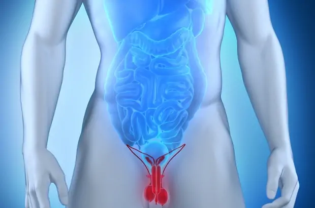 Testis Kanseri İçin Hangi Oranda Engelli Raporu Verilir?