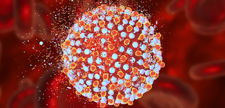 Otoimmün Hepatit İçin Hangi Oranda Engelli Raporu Verilir?