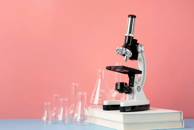 Mikroskop Nasıl Keşfedildi?